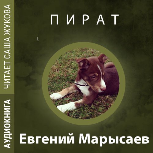 Марысаев Евгений - Пират