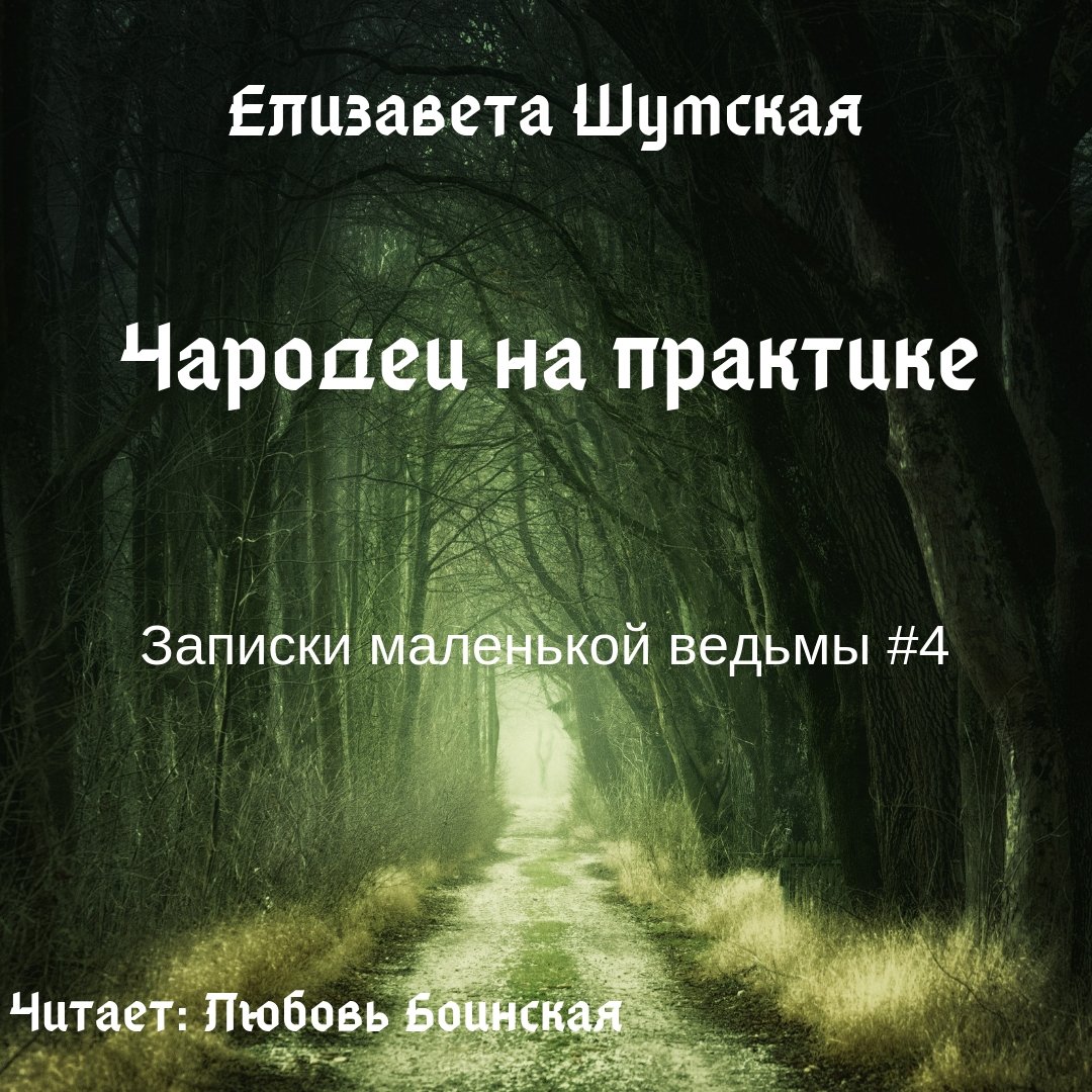 Шумская Елизавета – Записки маленькой ведьмы 4, Чародеи на практике