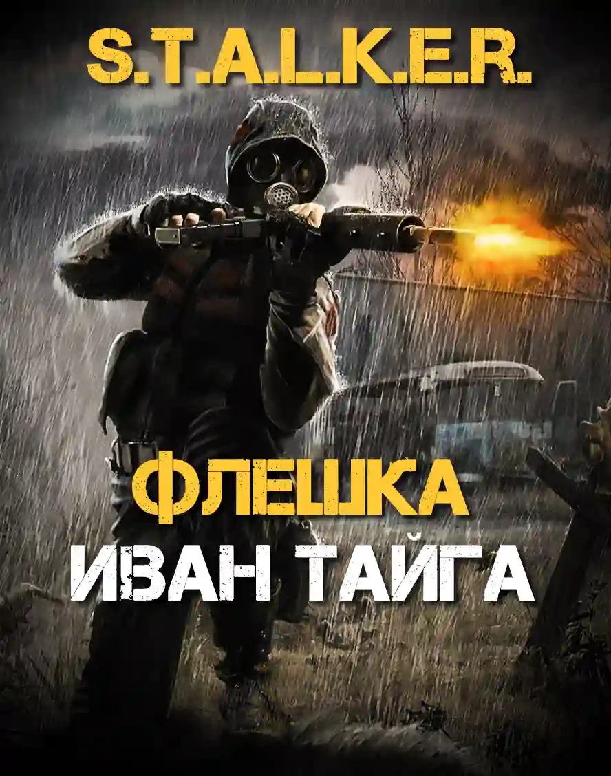 S.T.A.L.K.E.R. Флешка