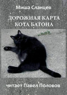 Дорожная карта кота Батона