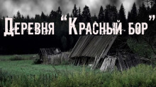 Деревня «Красный бор»