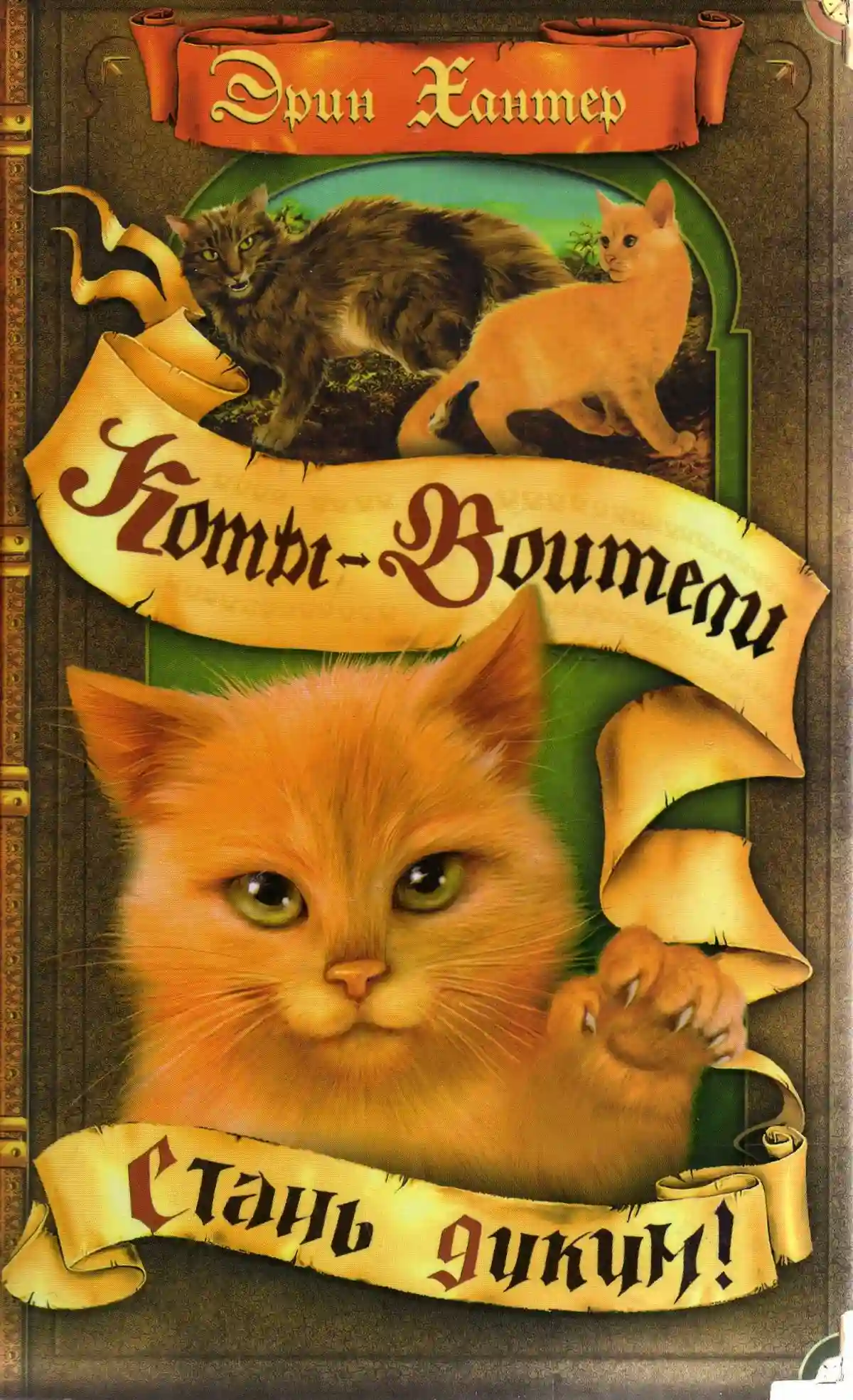 Стань диким - обложка книги
