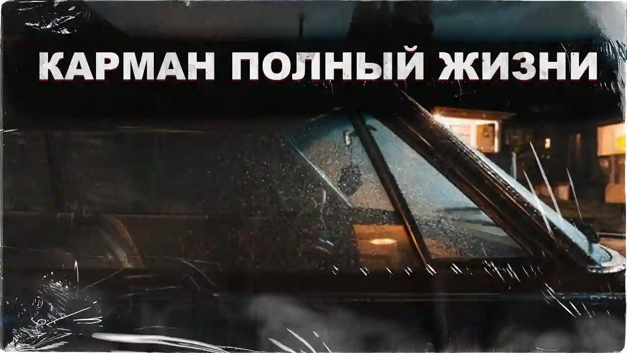 Карман полный жизни - обложка книги