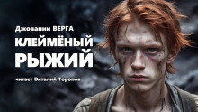 Клейменый рыжий - обложка книги
