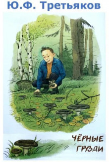 Чёрные грузди - обложка книги