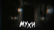 Мухи - обложка книги