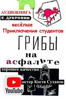 Грибы на асфальте