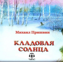 Кладовая Солнца - обложка книги