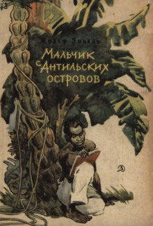 Мальчик с Антильских островов - обложка книги