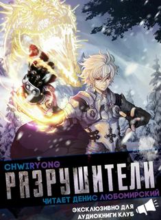 Разрушители 4 - Chwiryong - обложка книги