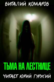 Тьма на лестнице - Виталий Комаров - обложка книги