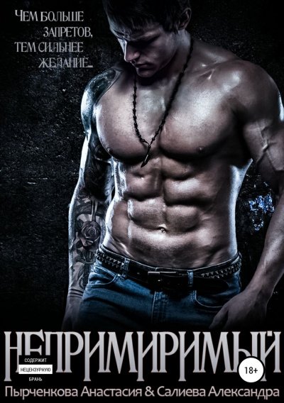 Непримиримый - Александра Салиева, Анастасия Пырченкова - обложка книги