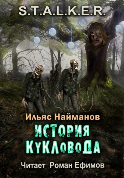 История Кукловода - Ильяс Найманов - обложка книги