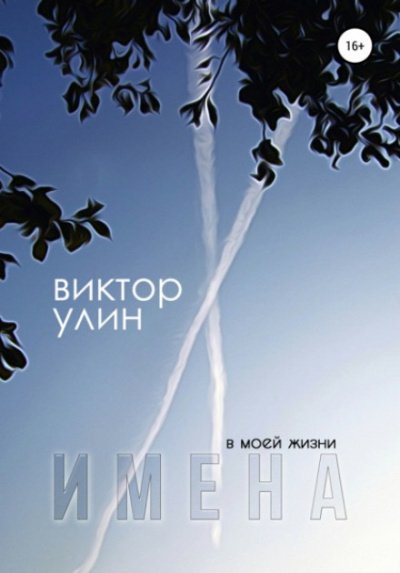 Имена - Виктор Улин - обложка книги