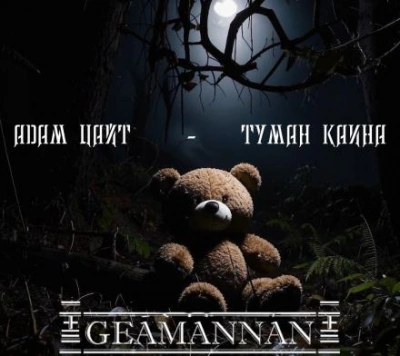 Туман Каина - Адам Цайт - обложка книги