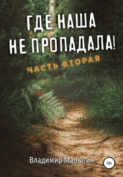 Где наша не пропадала! Часть 2 - Владимир Малыгин - обложка книги