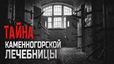 Патология - Алина Рауд - обложка книги