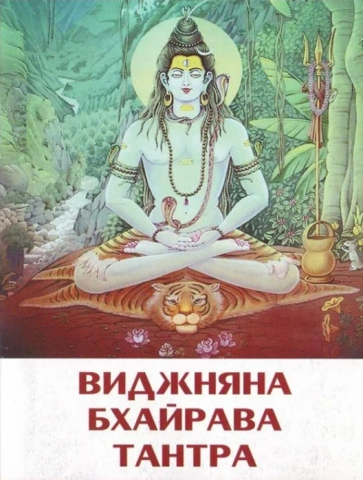 Виджняна Бхайрава Тантра - обложка книги