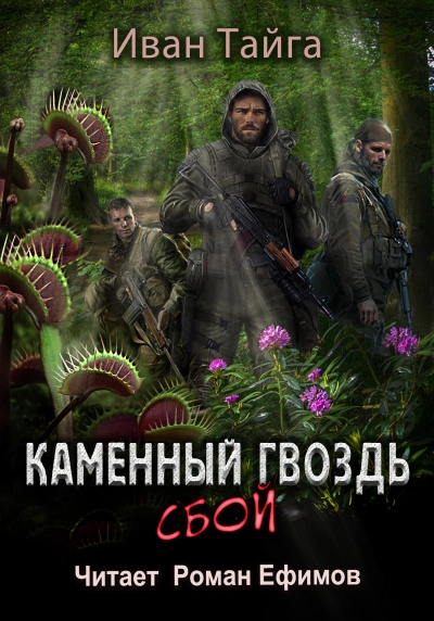 Каменный гвоздь. Сбой - Иван Тайга - обложка книги