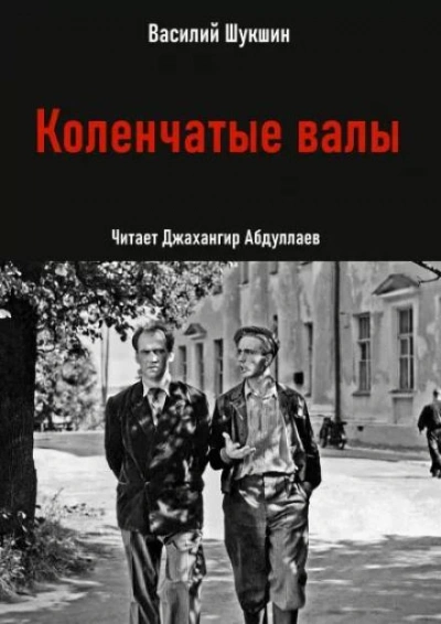 Коленчатые валы - Василий Шукшин - обложка книги