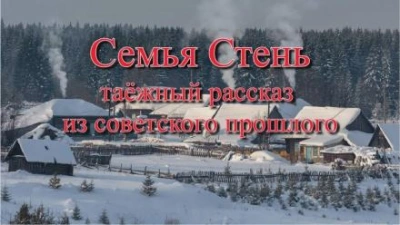 Семья Стень - Юрий Насыбуллин - обложка книги