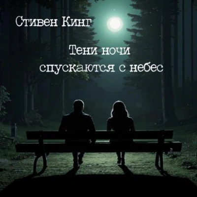 Тени ночи спускаются с небес - Стивен Кинг - обложка книги