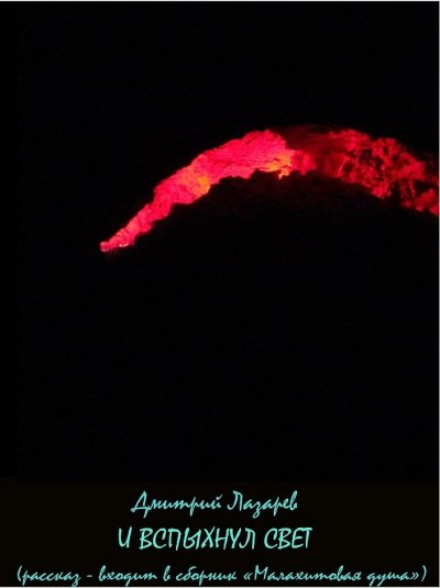 И вспыхнул свет - Дмитрий Лазарев - обложка книги