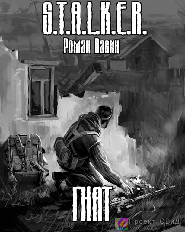 Гнат ( S.T.A.L.K.E.R.) - Роман Васин - обложка книги
