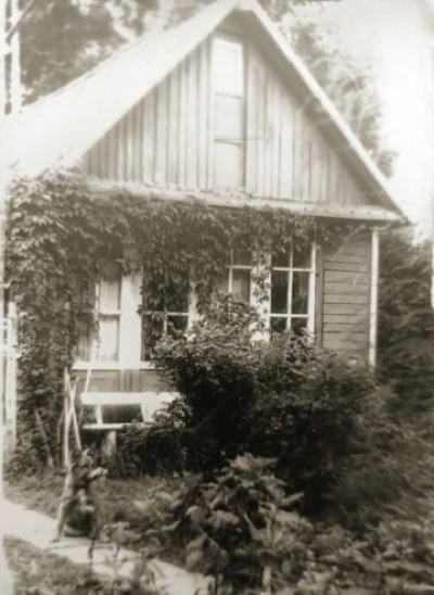 Дачные рассказы - Юрий Кувалдин - обложка книги