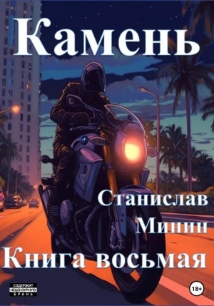 Камень. Книга 8 - Станислав Минин - обложка книги