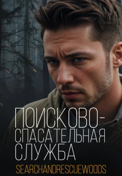 Поисково-спасательная служба - обложка книги
