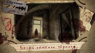 Белый оттенок черного - Владимир Чубуков - обложка книги