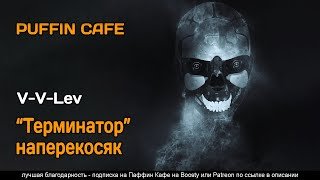 Терминатор наперекосяк - V-V-Lev - обложка книги