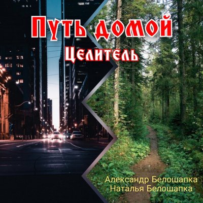 Путь Домой. Книга 2 - Александр Белошапка - обложка книги