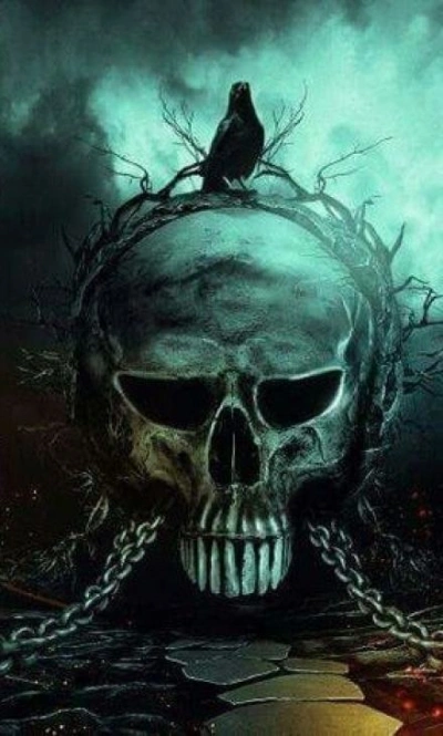 Записки санитара - Олег Мир - обложка книги