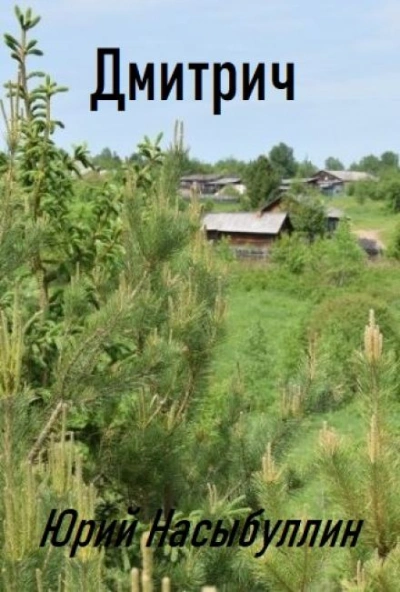 Дмитрич - Юрий Насыбуллин - обложка книги