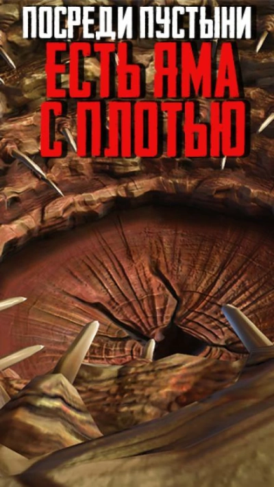 Посреди пустыни есть яма с плотью - Автор неизвестен - обложка книги