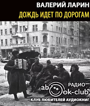 Дождь идет по дороге - Валерий Ларин - обложка книги